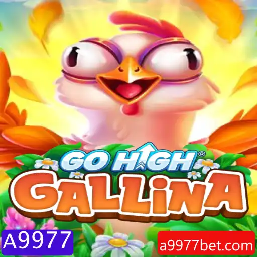 Descubra o Fascinante Mundo de GoHighGallina